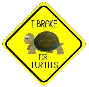 Ibrakeforturtles