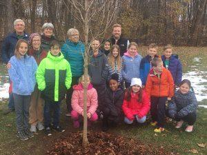 plantsville elementary tree